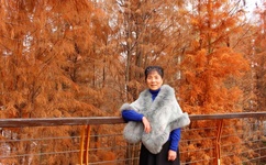 歪歪漫画登录页面登录秋蝉